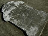 image of grave number 154160